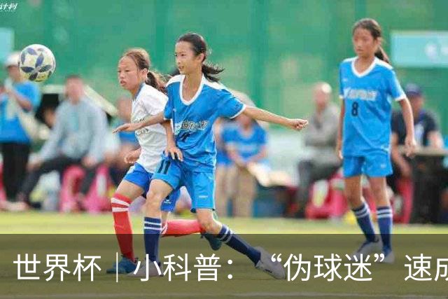 世界杯｜小科普：“伪球迷”速成手册
