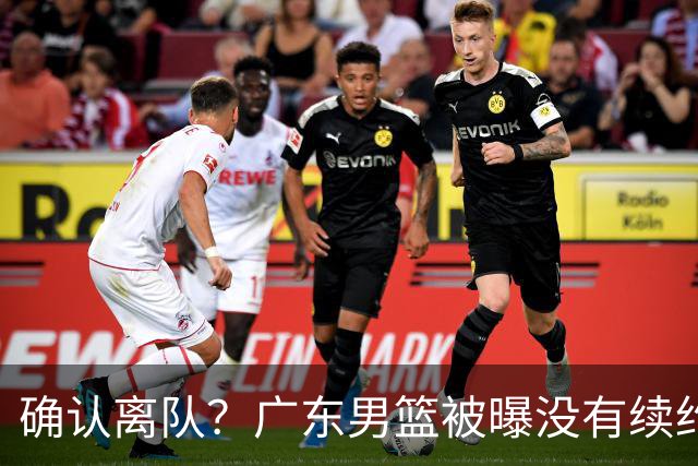 确认离队？广东男篮被曝没有续约杜锋，新主教练人选正式曝光！